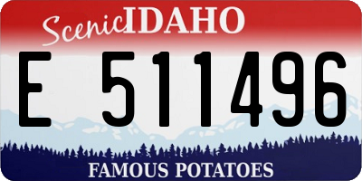 ID license plate E511496