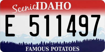 ID license plate E511497
