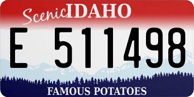 ID license plate E511498