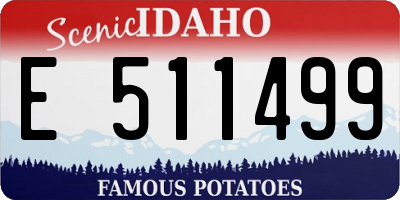 ID license plate E511499