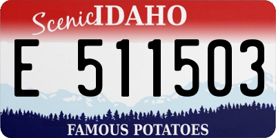 ID license plate E511503