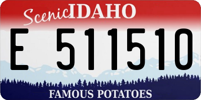 ID license plate E511510