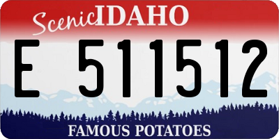 ID license plate E511512