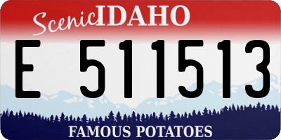 ID license plate E511513