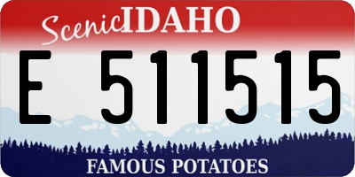 ID license plate E511515