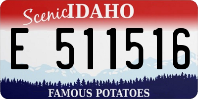 ID license plate E511516