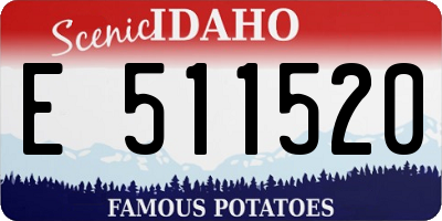 ID license plate E511520
