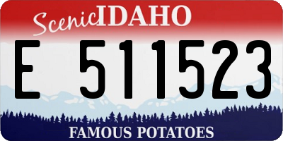 ID license plate E511523