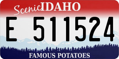ID license plate E511524