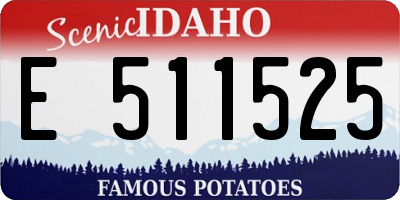 ID license plate E511525