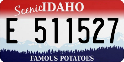 ID license plate E511527