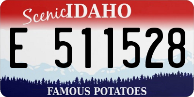 ID license plate E511528