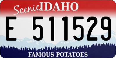 ID license plate E511529