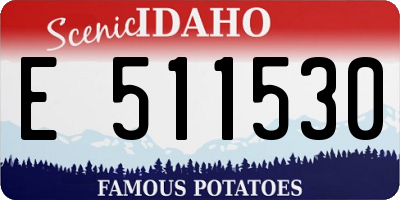ID license plate E511530