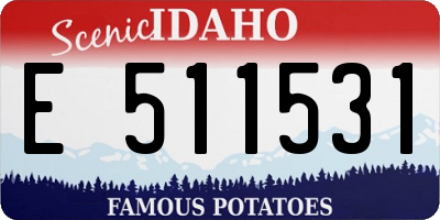 ID license plate E511531