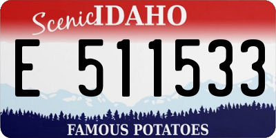 ID license plate E511533