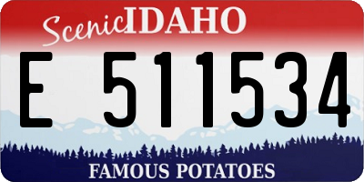 ID license plate E511534