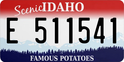 ID license plate E511541