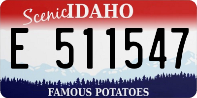 ID license plate E511547
