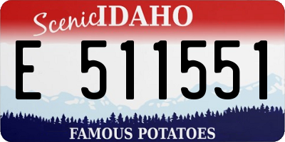 ID license plate E511551
