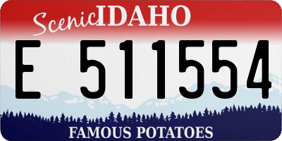 ID license plate E511554
