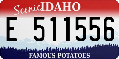ID license plate E511556