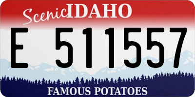 ID license plate E511557