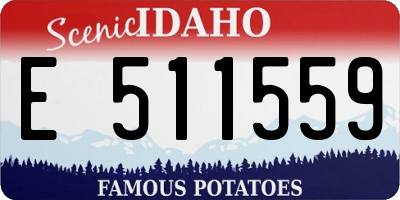 ID license plate E511559