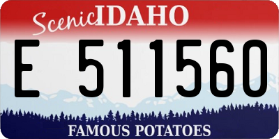 ID license plate E511560