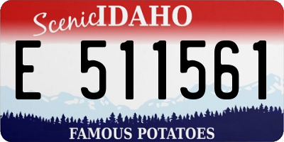 ID license plate E511561
