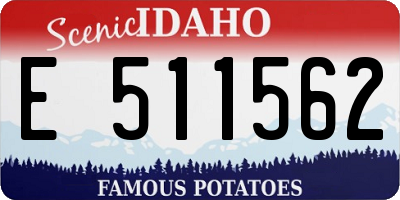 ID license plate E511562