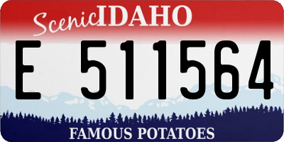 ID license plate E511564