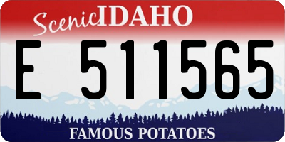 ID license plate E511565