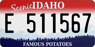 ID license plate E511567