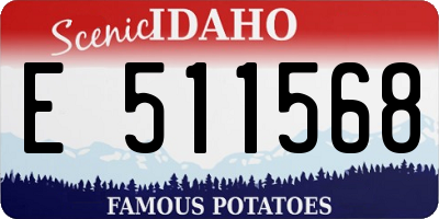 ID license plate E511568