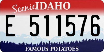 ID license plate E511576