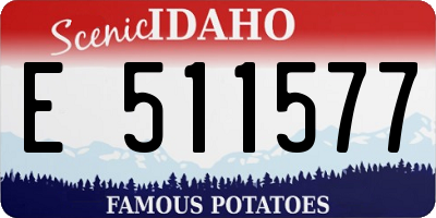 ID license plate E511577