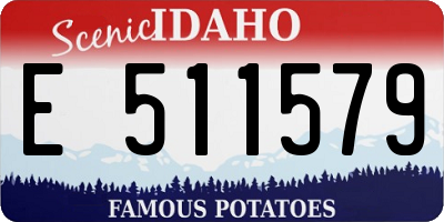 ID license plate E511579