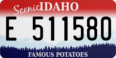 ID license plate E511580