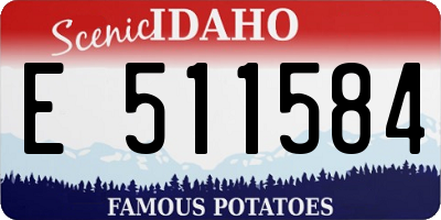 ID license plate E511584