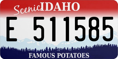 ID license plate E511585