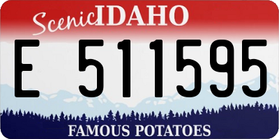 ID license plate E511595