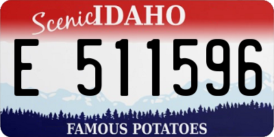 ID license plate E511596