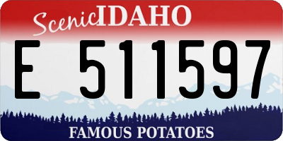 ID license plate E511597