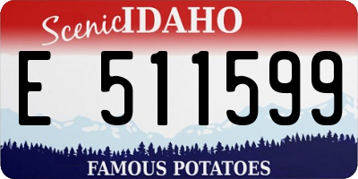 ID license plate E511599