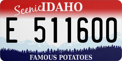 ID license plate E511600