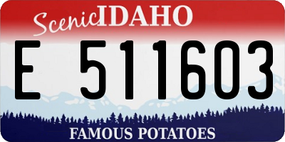 ID license plate E511603