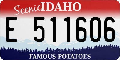 ID license plate E511606