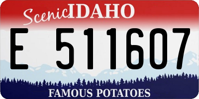 ID license plate E511607