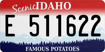ID license plate E511622
